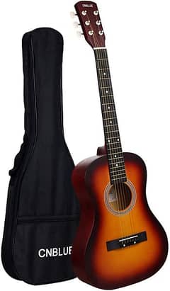 Rose-solid Top 36 inch Traveler Semi Acoustic Guitar 0