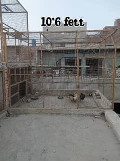 pigeon cage for sale