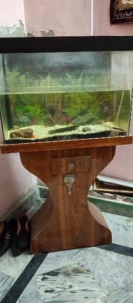 Fish Aquarium with 5 Fishes 0
