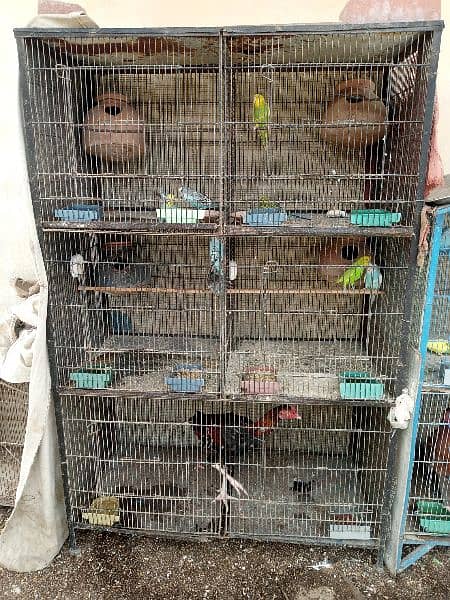 birds cage 0