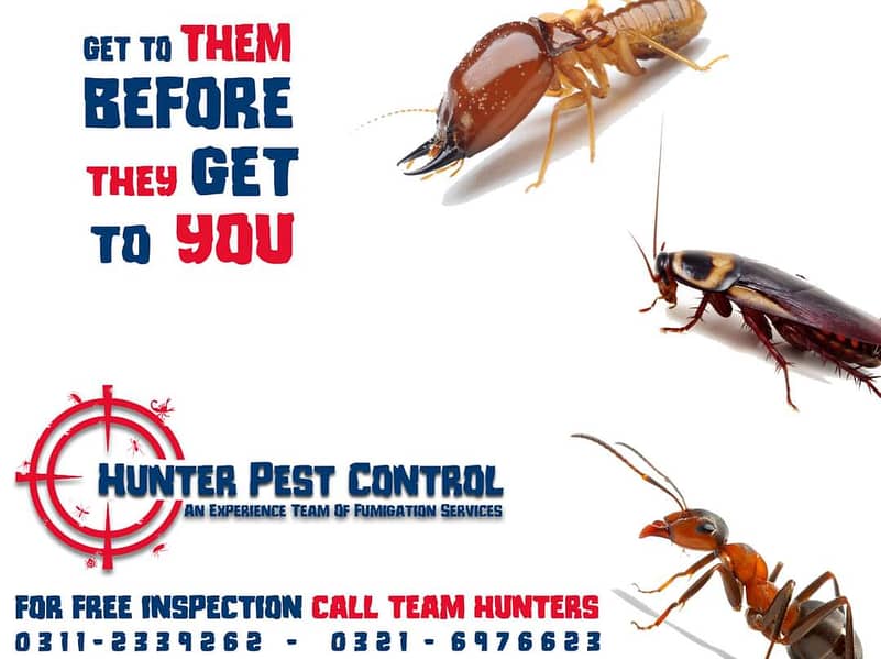 Pest Control/ Termite Control/Fumigation Spray/Deemak Control Service 9