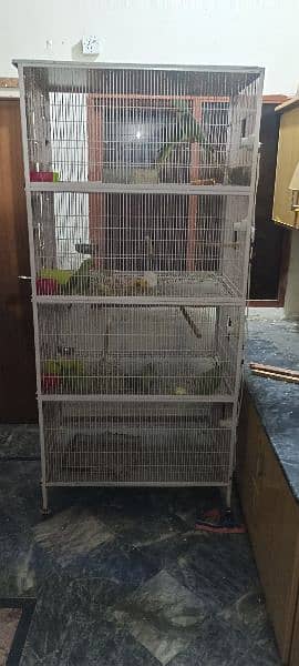 new cage for sale 1