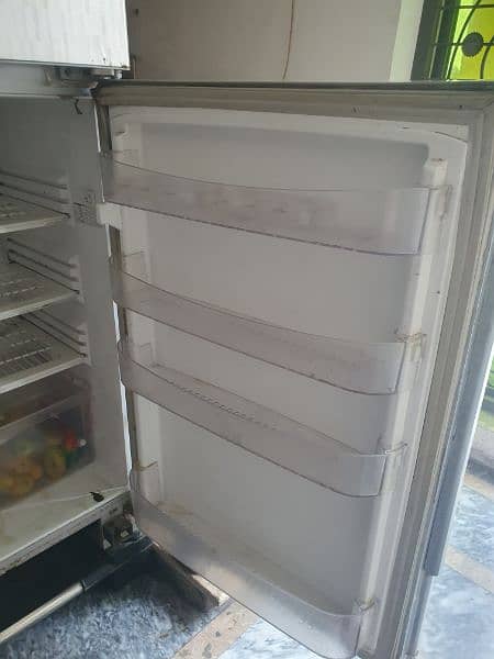 PEL Refrigerator 6