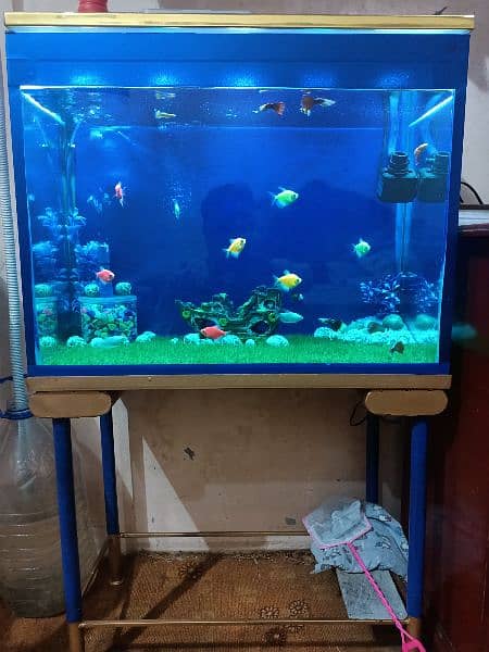 fish aquarium complete setup 0