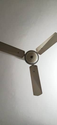 Ceiling fan for sale