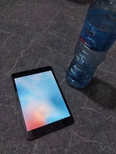 apple iPad mini 1 0