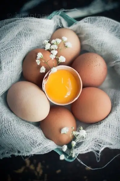 hera aseel, muska, miawali, bengum fertile eggs available delivery — photo 8