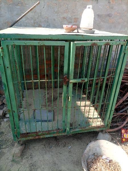 cage for sale in chakwal 4×4 ka hai 0
