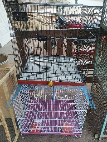 All Types of Birds Cage | Birds Accessories| Birds Feed Available 3
