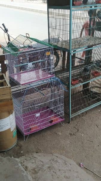 All Types of Birds Cage | Birds Accessories| Birds Feed Available 7