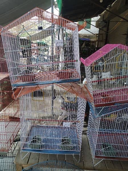 All Types of Birds Cage | Birds Accessories| Birds Feed Available 10