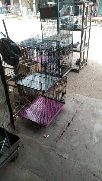 All Types of Birds Cage | Birds Accessories| Birds Feed Available 11