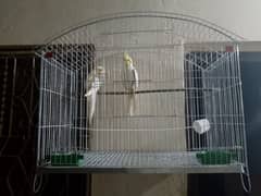 breeder pair coctail 03436602706