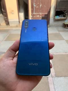 Vivo