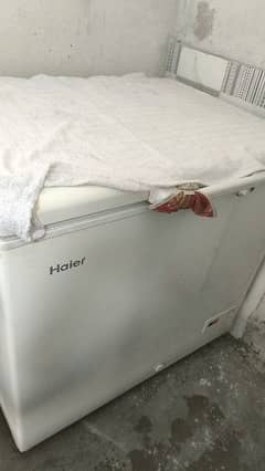 haier D Freezer 10/10 0