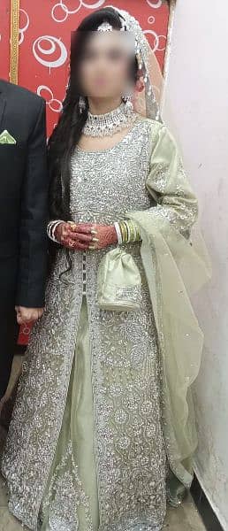 Walima Maxi 2