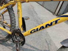 Giant bicycle 0