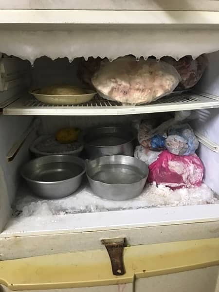 pel fridge used for best 2