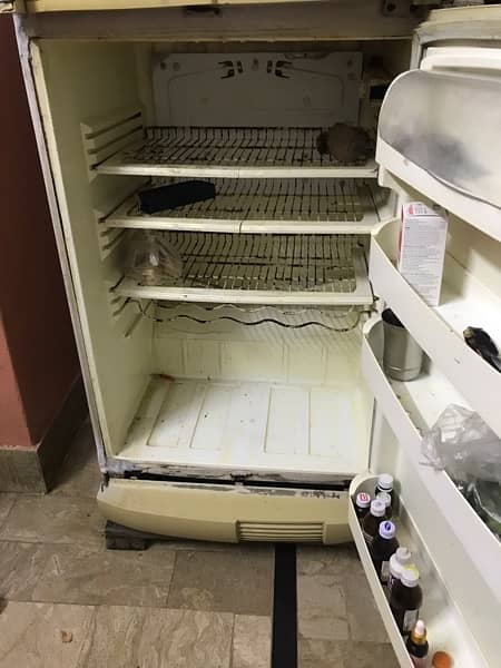 pel fridge used for best 3