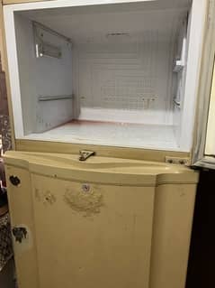 PEL medium size Refrigertor for sale