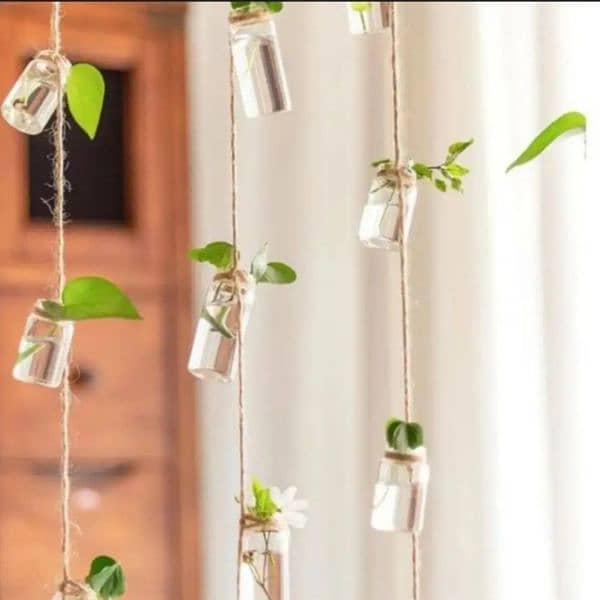 hanging wall glass bottle 1