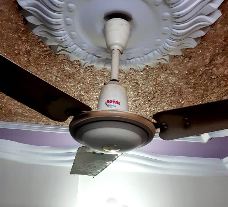 Fancy Ceiling Fans for Sale 1