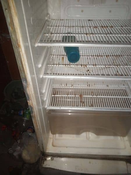 full size fridge for sell 3