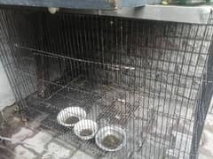 Bird cage for sale 0