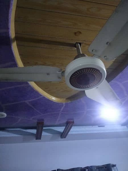 Ceiling fan for sale Old hay but look like New 1