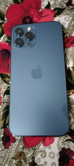 I phone 12 pro max 256GB with box and cable Lush