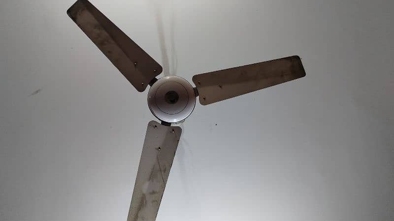 4 Ceiling Fan | 8/10 (Dust Lgi hui ha) | Used | Can Buy Single 1