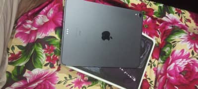 ipad pro 512gb