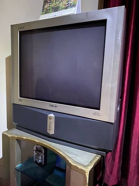 Original Japanese Woofer TV 24” 0