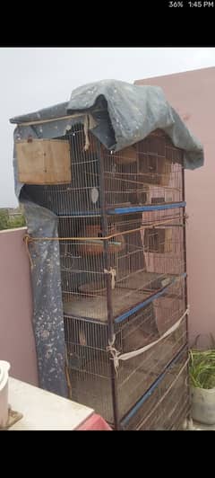 7 portion bird cage for sale