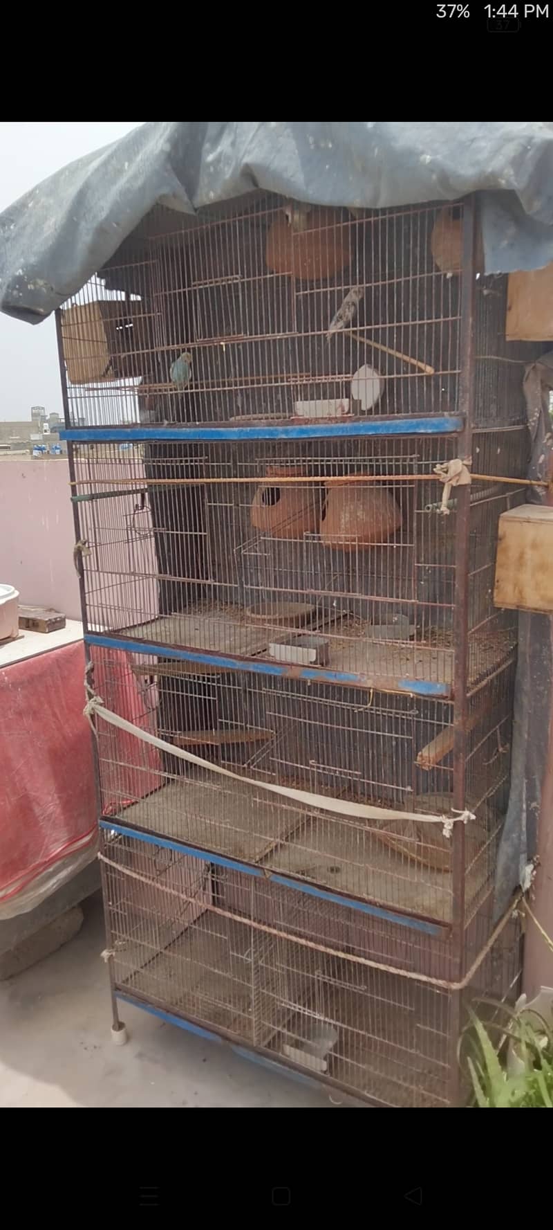 7 portion bird cage for sale 1