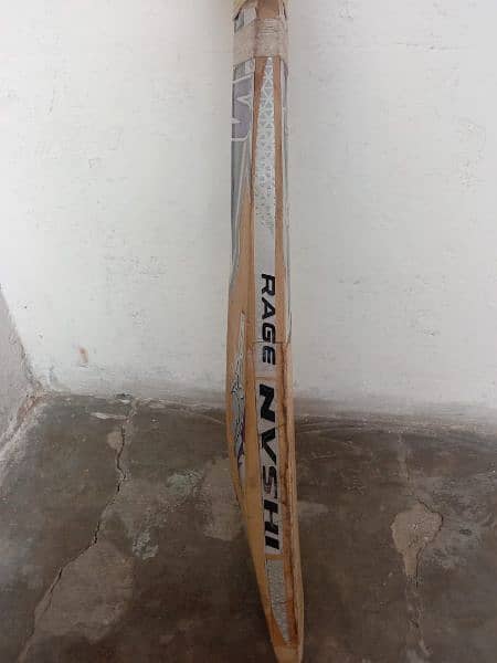 cricket hard bat 1