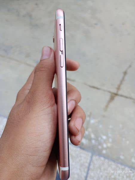 iphone 6s (16 gb) non pta rose colour 6