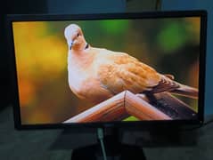 Dell P2414HB Full HD 24 inch LED Backlit Monitor