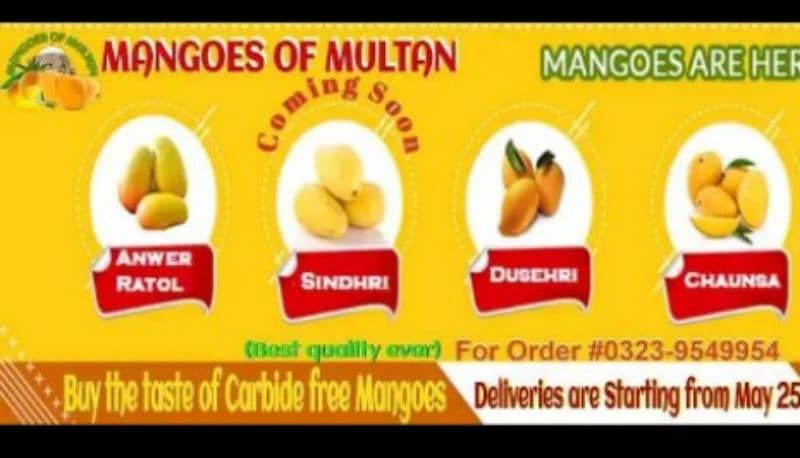 Mangoes 3