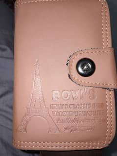 Brown colour wallet to save money