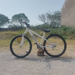 White Gears Bicycle For Sale