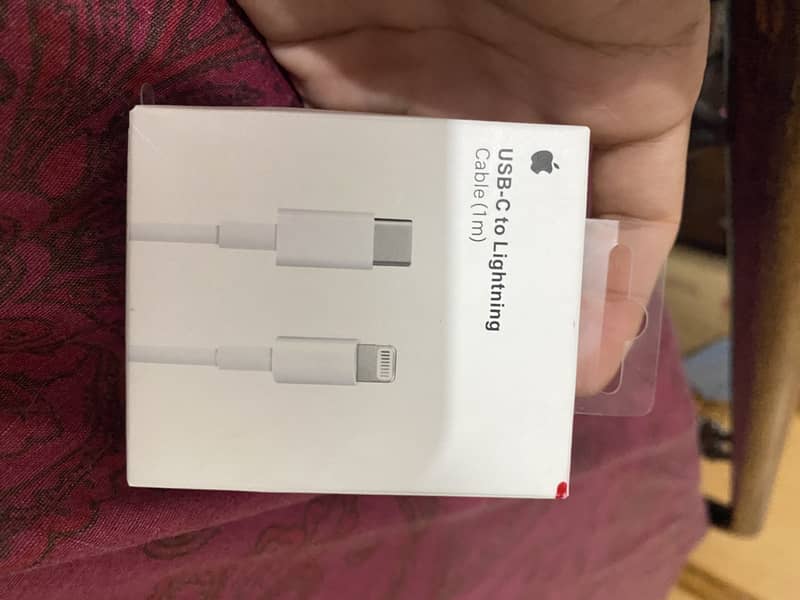 Apple Original charger 1