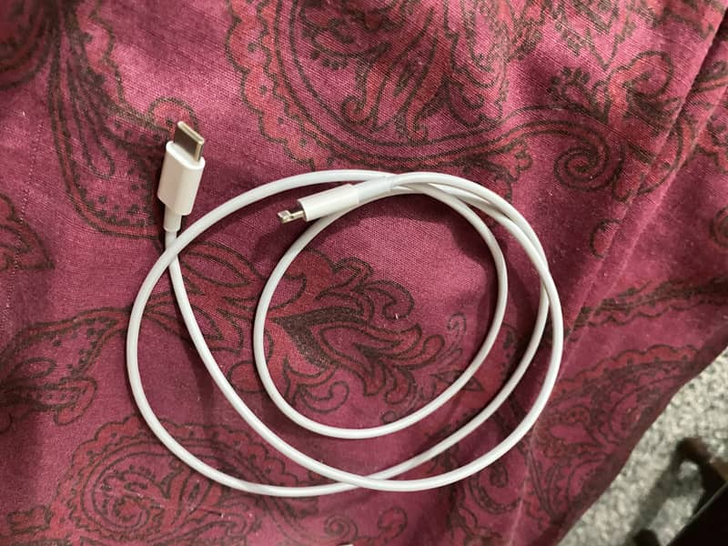 Apple Original charger 2