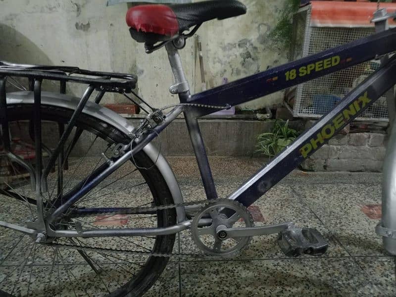 cycle orignal phoenix cycle sport cycle fresh condition 5