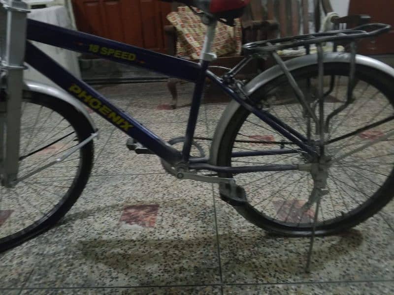 cycle orignal phoenix cycle sport cycle fresh condition 6