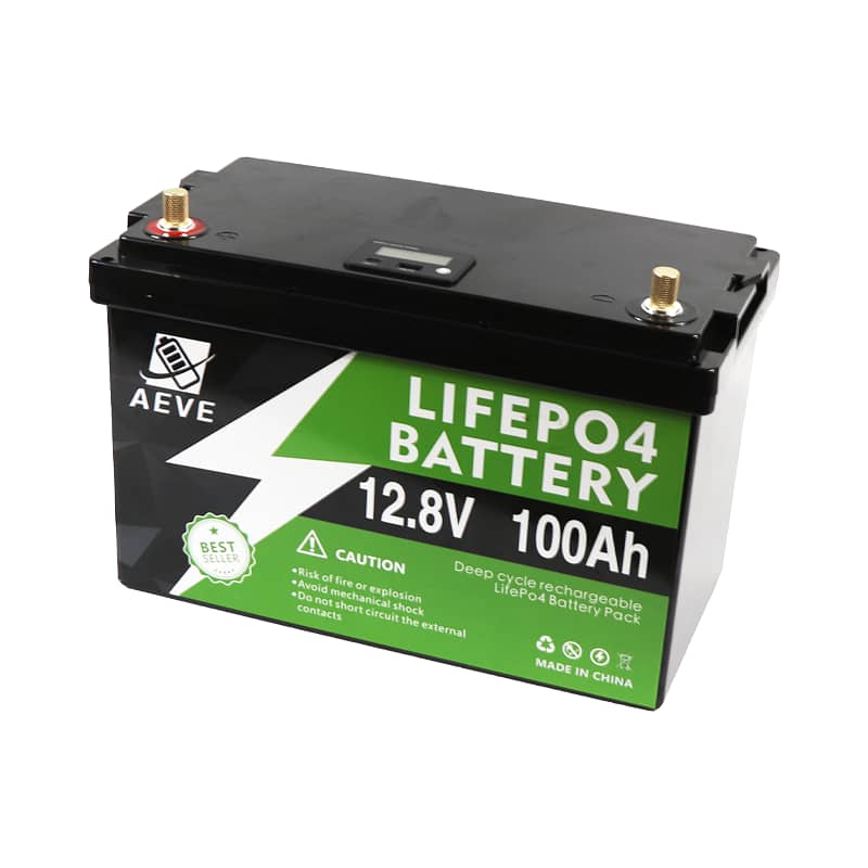 LiFePO4 12V 24V 100AH 200AH Lithium Iron Battery 2