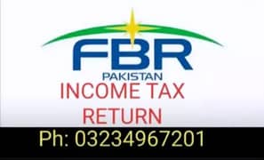 File Income Tax Return, Company Registration, Firm 0