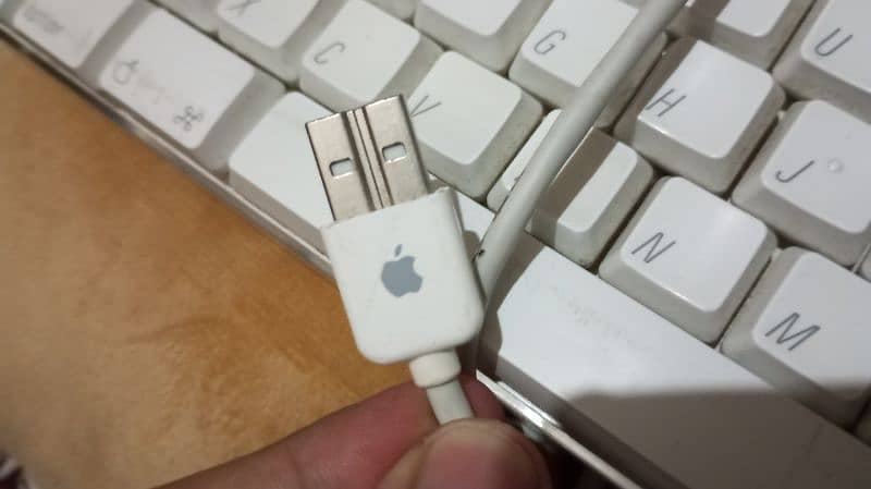 apple keyboard 1