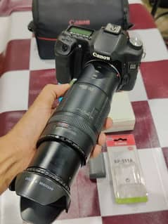 Canon 50d Dslr Camera 100/300 lens high blur background result