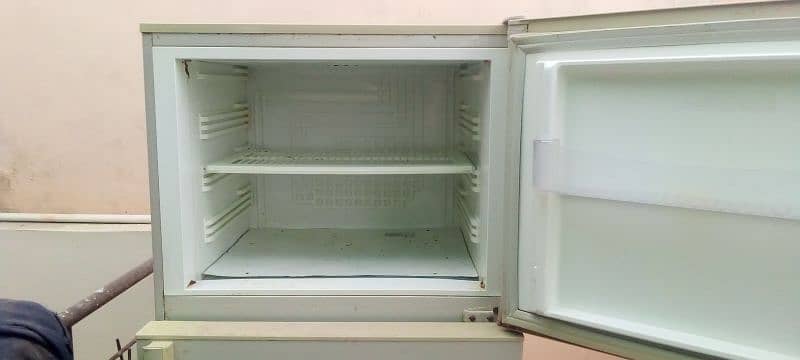 pel fridge 5